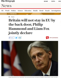 Pic: Telegraph article from Hammond and Fox